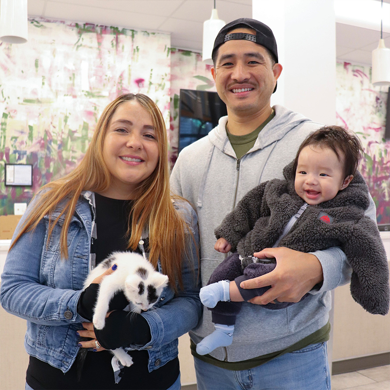 Andrea Maldonado and her family with Casper the kitten, Chicago 