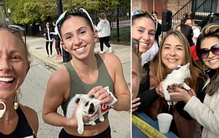 Chicago Marathon, Team PAWS Chicago, Casper the kitten, Sarah Bohan, Susanna Wickham, Gia Nigro, Andrea Maldonado