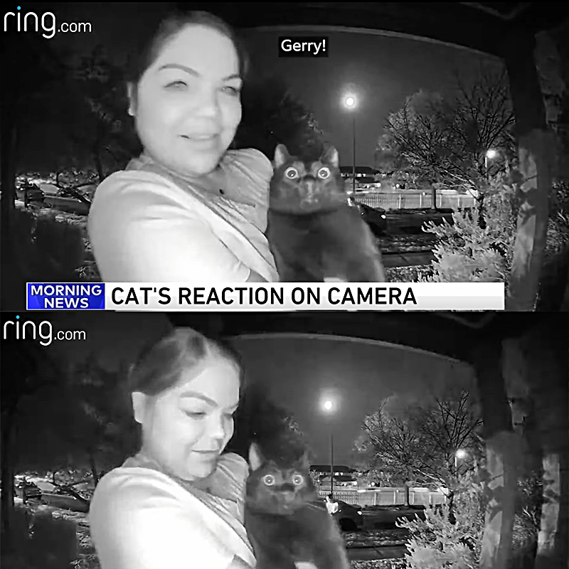 Woman seen carrying Gerry the black cat to the home via Gerry appears on WGN Morning News Chicago