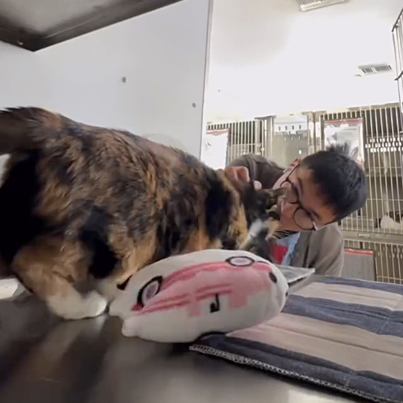 Albert Harris pets Kora at Orange County Animal Services
