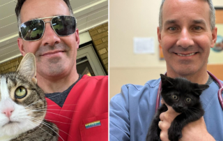 Dr. Matt McGlasson, veterinarian, Kentucky, RuPaul the cat, Elvira the black void kitten, rating cats, rating pets,