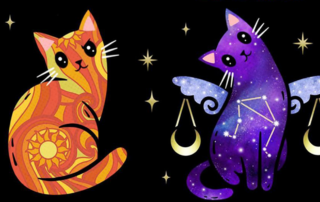 Moonstruck Crystals, Kara Pavlik, Jersey Shore, Astrology, Zodiac Cats, Leo and Libra