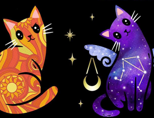 Moonstruck Artist from Jersey Creates the Dreamiest Cat Zodiac Signs