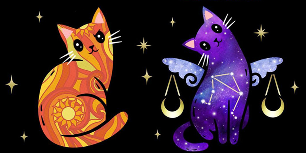 Moonstruck Crystals, Kara Pavlik, Jersey Shore, Astrology, Zodiac Cats, Leo and Libra