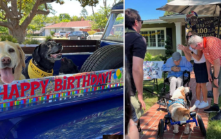 Robert Moore, 100th birthday dog parade in San Jose, California, celebration, Rodger O'Brien, centenarian