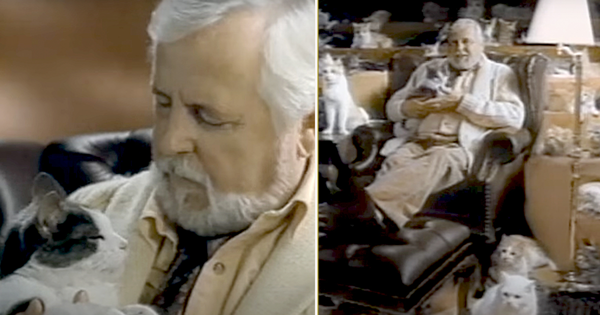 The Unexpected Invention and Hisstory of Kitty Litter