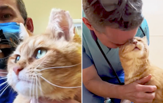 Dr. Matt McGlasson, Fort Mitchell, Kentucky, Nemo the three-legged cat, Noah's Ark, tripod