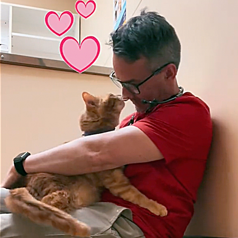Dr. Matt McGlasson and Nemo the orange tabby cat with three legs, 3