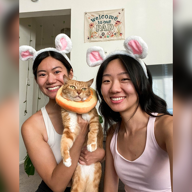 Orange Chicken finds his furever home in Oakland, California thanks to Cat Town rescue