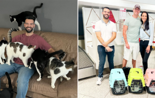 The Yass House, Yassine Harouchi, Morocco, cats, Sarasota resident Kendra Simpkins helps air-rescue cats to the United States