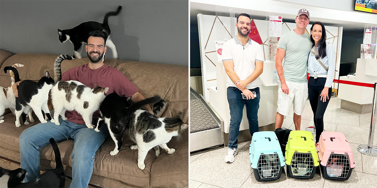 The Yass House, Yassine Harouchi, Morocco, cats, Sarasota resident Kendra Simpkins helps air-rescue cats to the United States