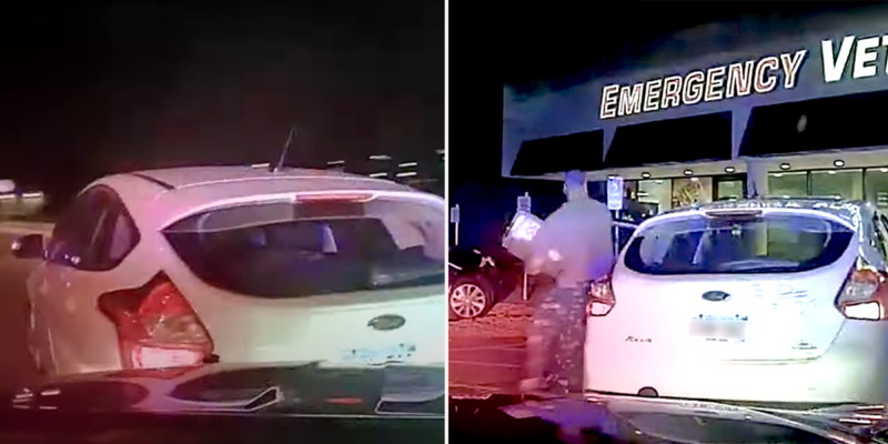 Cat Emergency! Police Chase Ends When Driver Reaches Vet