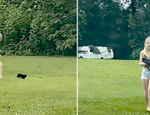 Mom Laughs as Her Daughter Barefoot Sprints Across a Field to Catch a Stray Kitten