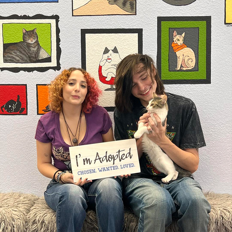 A family adopted a kitten from the Sassy Cat Club Café in Brandon, Florida. 