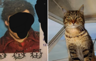 Brad Johnsen, Hat Island, Seattle, Greg the cat, signature of cat heads, DMV