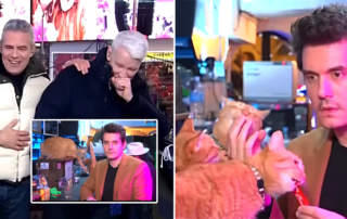New Year's Eve celebration at Times Square with John Mayer from the Bar Cats in the Box cat café in Tokyo, Japan, Anderson Cooper, Andy Cohen, New Year's Eve, Times Square