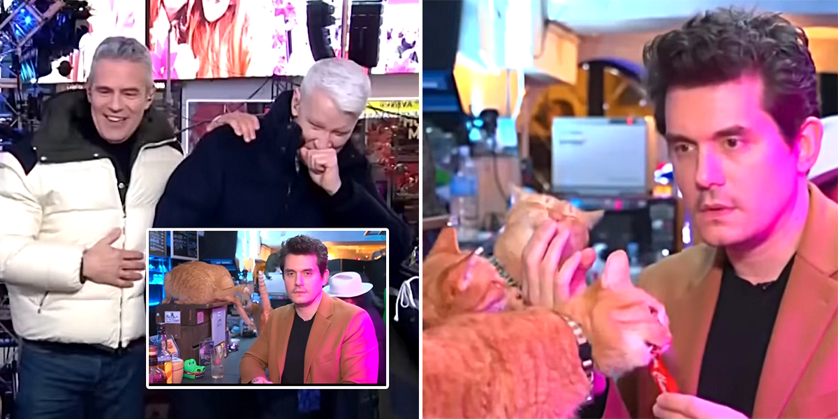 New Year's Eve celebration at Times Square with John Mayer from the Bar Cats in the Box cat café in Tokyo, Japan, Anderson Cooper, Andy Cohen, New Year's Eve, Times Square