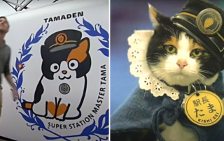 Tama the Stationmaster Cat, Shinto Goddess, Kishigawa Electric Railway Line and Kishi Station near Osaka, Wakayama Electric Railway, Japan, Calico