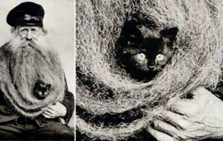 Louis Coulon, French man with 11 foot beard that nested cats, Radagast the Brown, Tolkien, France