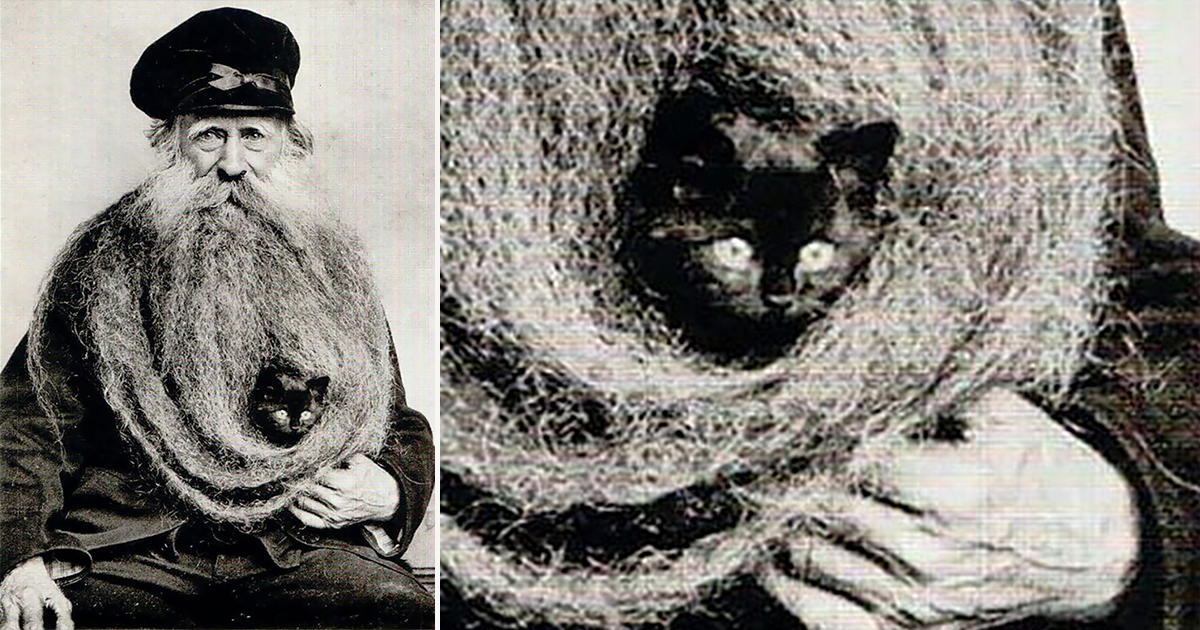 Louis Coulon, French man with 11 foot beard that nested cats, Radagast the Brown, Tolkien, France