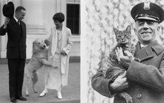 President Calvin Coolidge, First Lady Grace Coolidge, White House, guard Benjamin C. Fink holds the Coolidge's lost cat, Tige