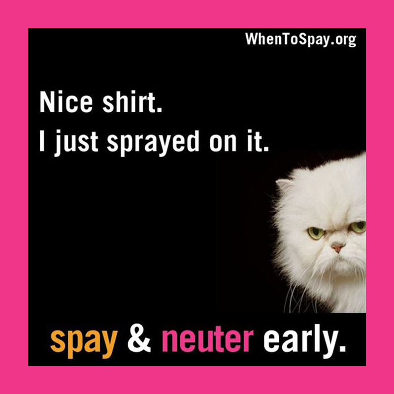 Meme about spaying and neutering by WhenToSpay.org