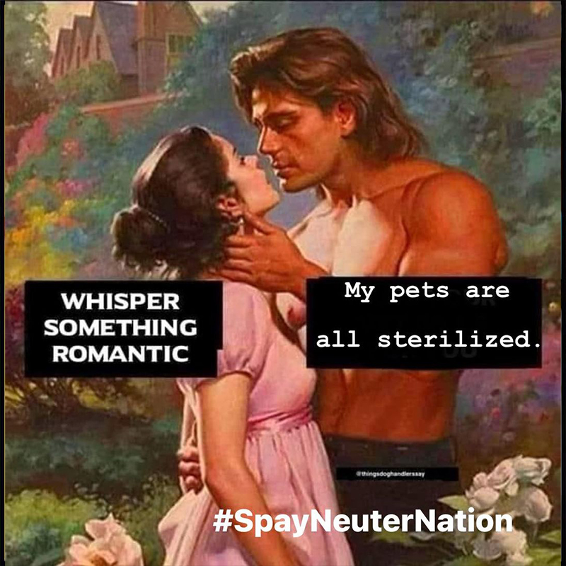 Whisper something romantic. My pets are all sterilized. Funny memes about spaying and neutering, Spay Neuter Nation