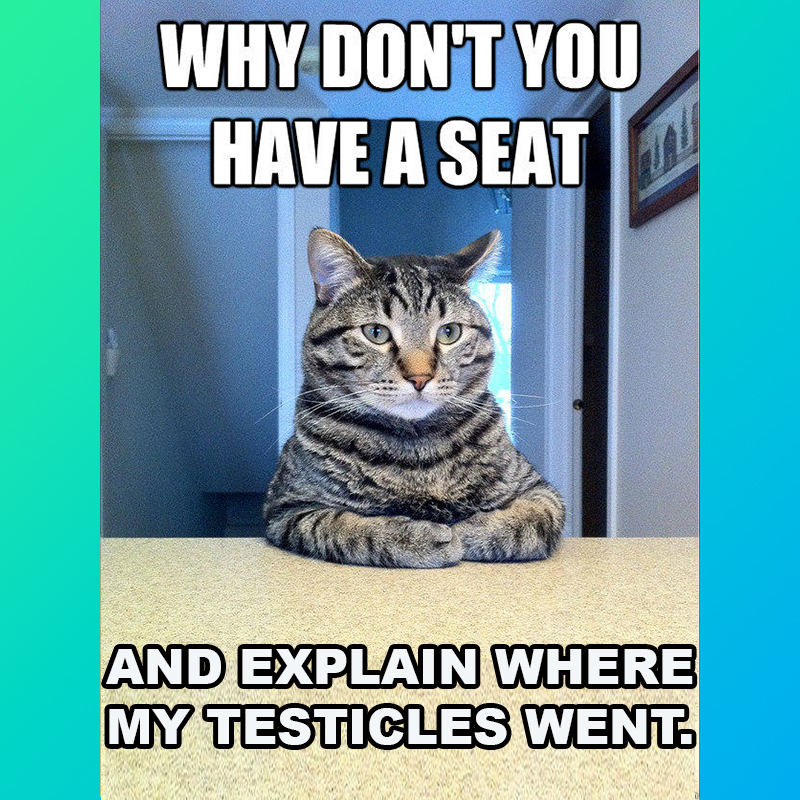 Why Don't You Have a Seat and Explain Where My Testicles Went, Funny meme about spaying and neutering