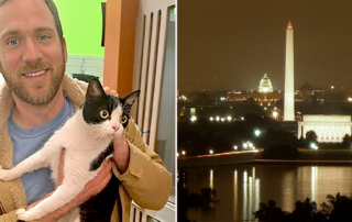Sunday the cat, Capital, Washington D.C., Humane Rescue Alliance, microchip reunion, Found Friday
