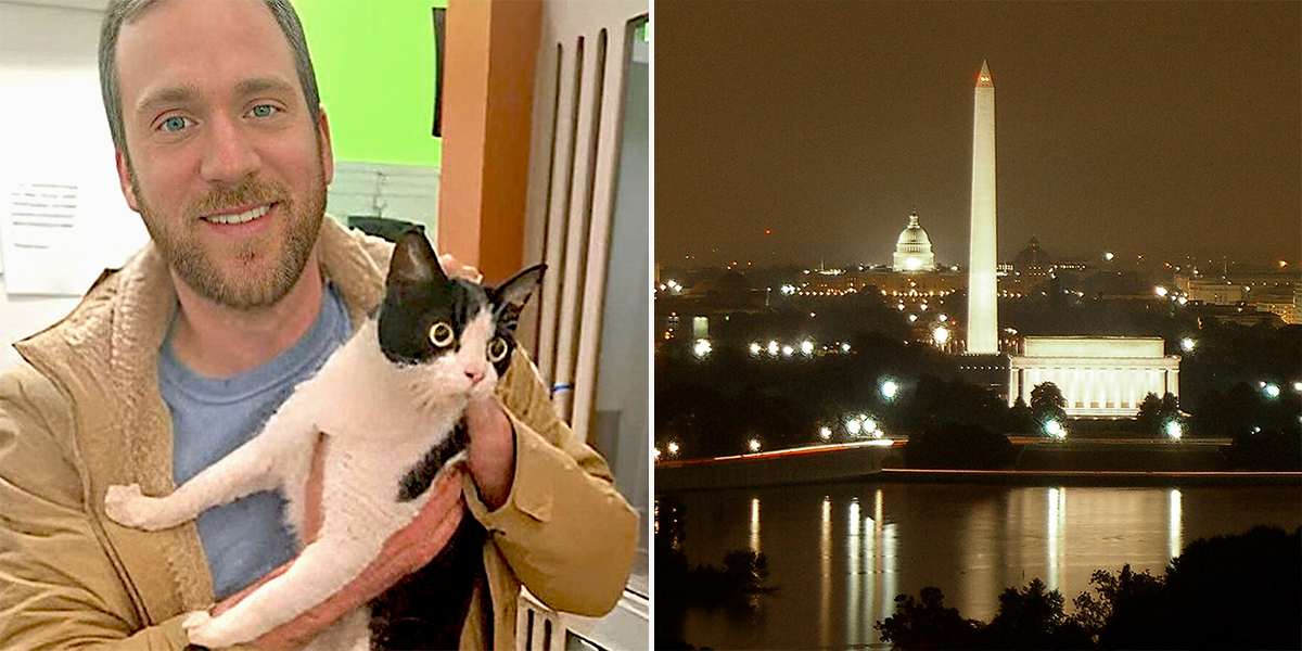 Sunday the cat, Capital, Washington D.C., Humane Rescue Alliance, microchip reunion, Found Friday