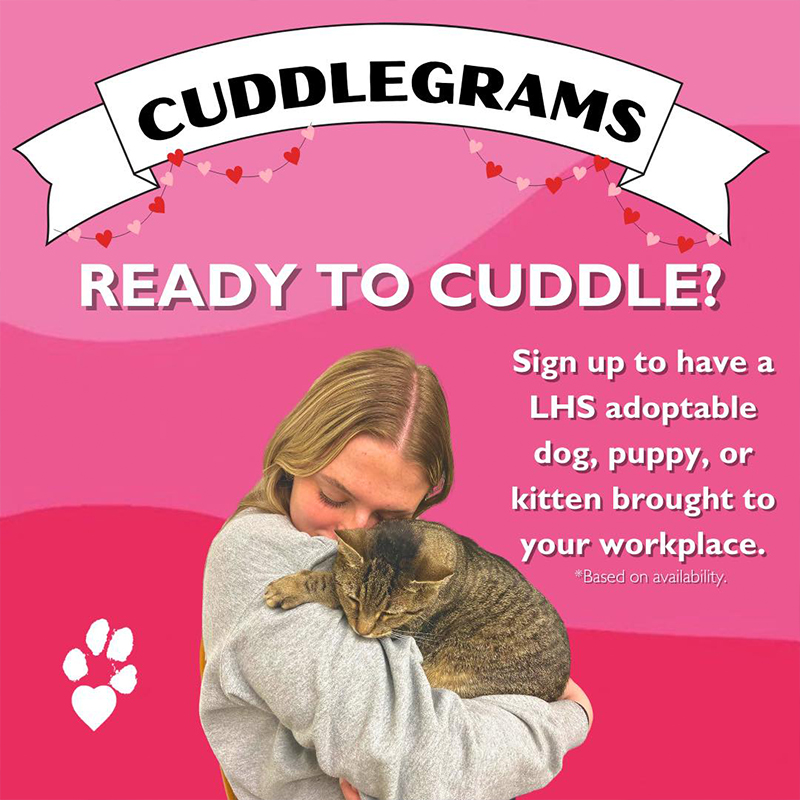 Lexington Humane Society in Kentucky, Cuddlegrams for Valentine's Day