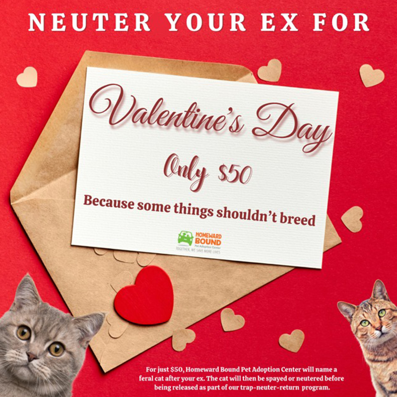 Neuter your ex, Valentine's Day at Homeward Bound Pet Adoption Center in Blackwood, NJ