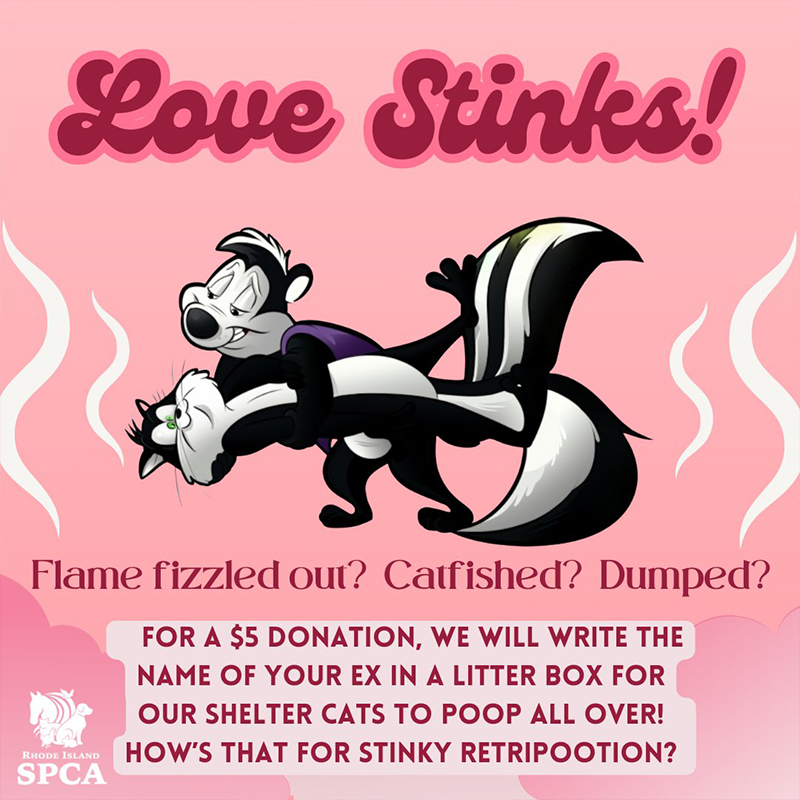 Love Stinks campaign for Valentine's Day by The Rhode Island SPCA