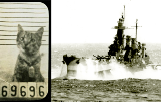 1944, George the cat, via Facebook with Battleship North Carolina in December 1944 off the Philippines, Navy health record for cat, Ed Cope