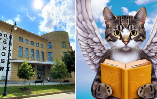 Worcester Public Library, March Meowness, Felines help patrons avoid late fees, fee forgiveness, Massachusetts, Worcester,