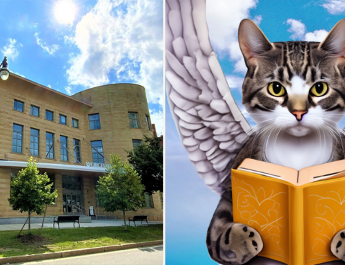 During “March Meowness”, Felines Help Library Patrons See Their Late Fees Furgiven
