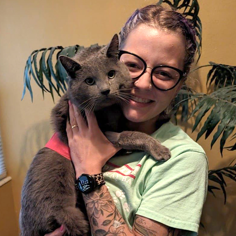 PAKman the grey cat survived being shot in the back with an arrow in St. Petersburg, Florida, 2