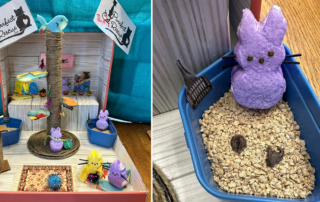 Purrfect Cat Rescue Inc, Crystal Lake, Illinois, Peeps diorama contest, Cary Area Public Library