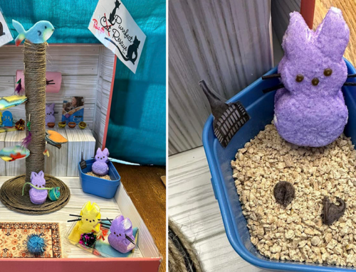 Rescue Pawses to Celebrate the Fun of Easter with Feline Peeps