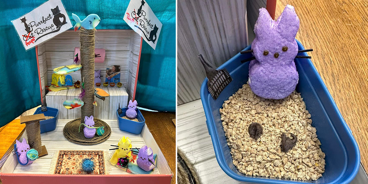 Purrfect Cat Rescue Inc, Crystal Lake, Illinois, Peeps diorama contest, Cary Area Public Library