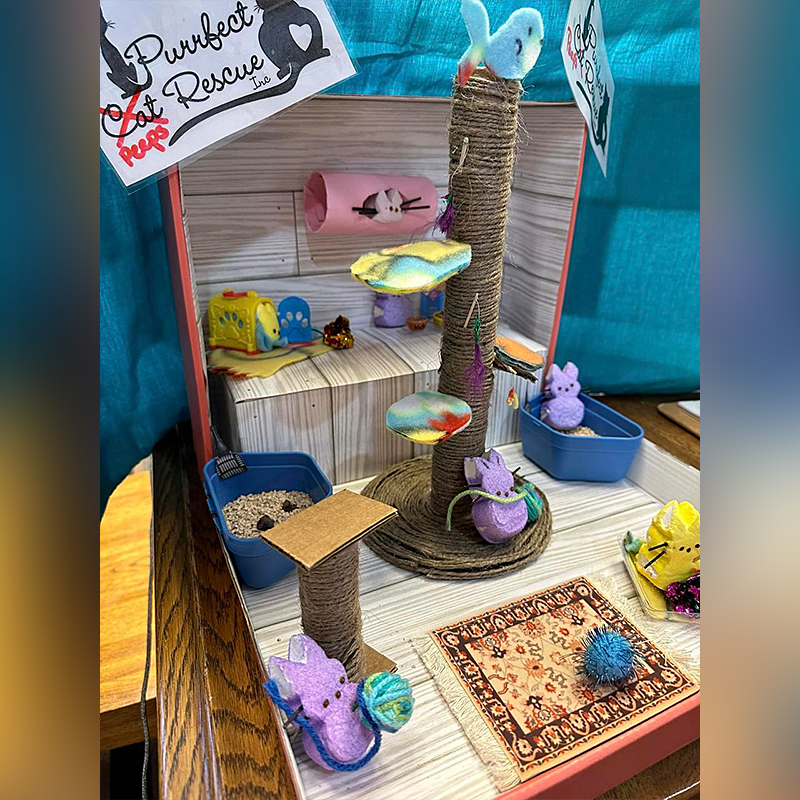 Peeps Diorama contest, Cary Area Public Library, Purrfect Cat Rescue Inc, Crystal Lake, IL, 6