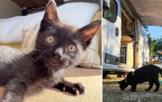 Yeti the Van, Michael and Acacia, Rusks the Adventure Kitten, Vanlife South Africa