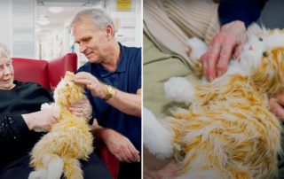 Animatronic 'Marmalades' cats helping residents at Riverside House Care Home in Morpeth, Richard Doninson, UK, dementia, Alzheimer's, Roanoke, Virginia
