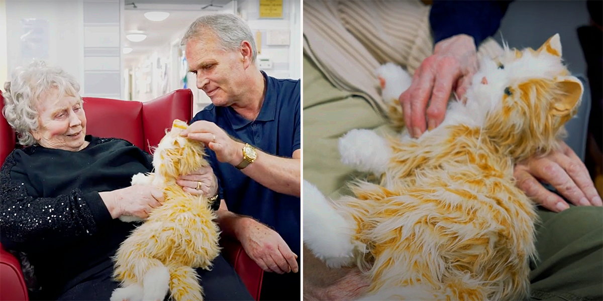Animatronic 'Marmalades' cats helping residents at Riverside House Care Home in Morpeth, Richard Doninson, UK, dementia, Alzheimer's, Roanoke, Virginia