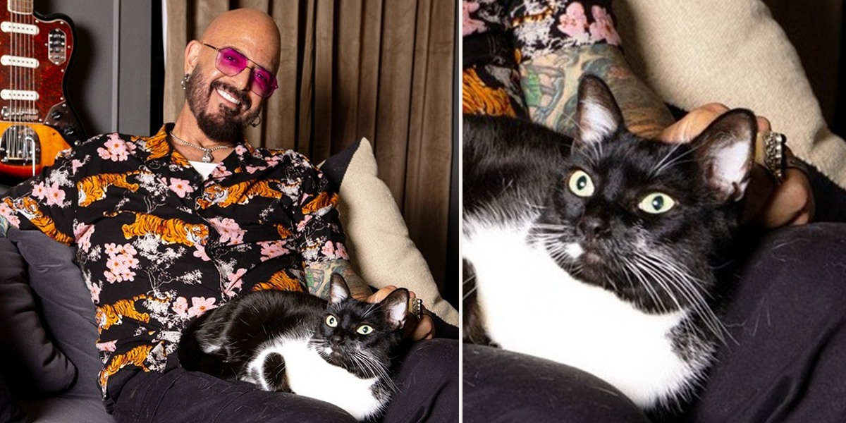 Jackson Galaxy, top 5 reasons people ask for help with their cats, feline behavioral consultations