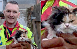 Lancashire Fire and Rescue Service, UK, Crew Manager Andy Friar, CM Friar, cat rescued between two walls looked grumpy about it