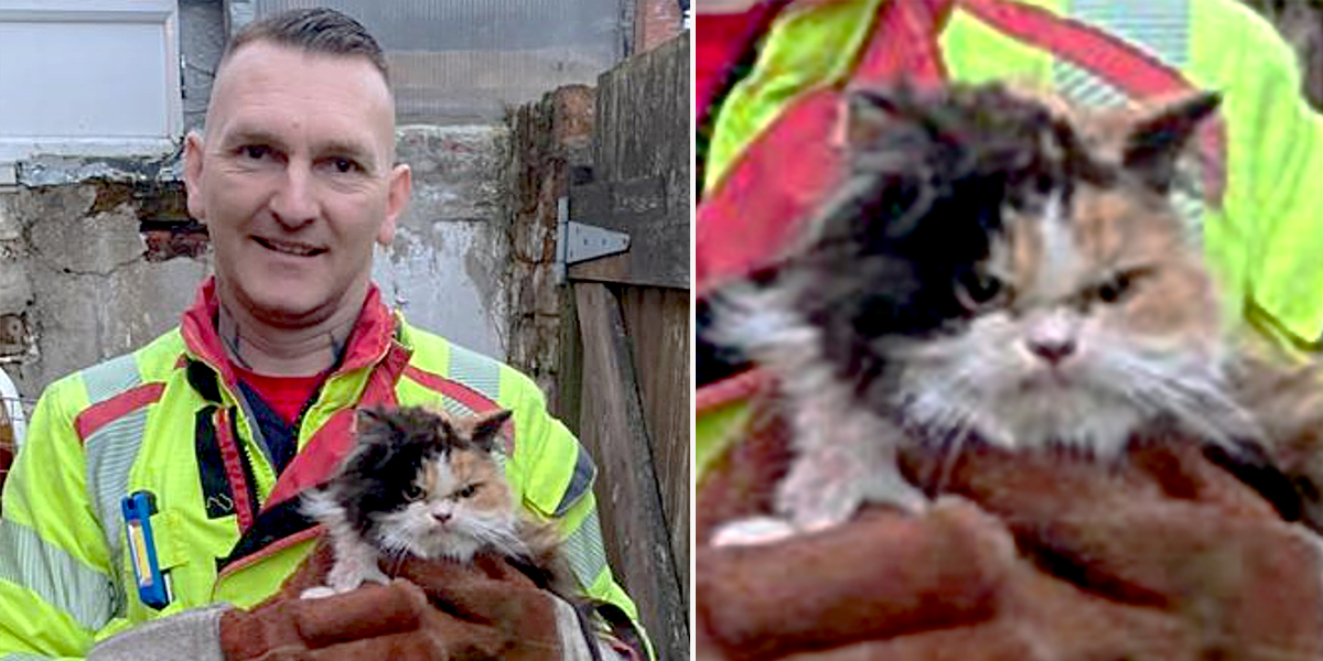 Lancashire Fire and Rescue Service, UK, Crew Manager Andy Friar, CM Friar, cat rescued between two walls looked grumpy about it