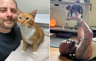Men adopting cats at a higher rate, UK, UK Pet Food, Pet Population Report for 2024, The Wildest, cat dads, cat daddies