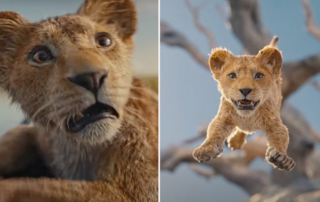 Mufasa: The Lion King, Pride Lands of Africa, Disney, Prequel, Barry Jenkins, Beyoncé, Blue Ivy, Live Action Animation