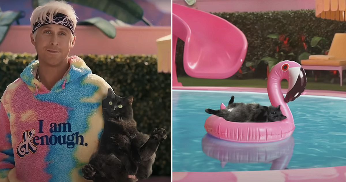 A Kitty Girl Goes to Barbie World and Quickly Wins Over Ken - Cole